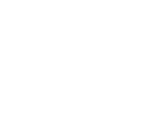 Codexcia, accueil